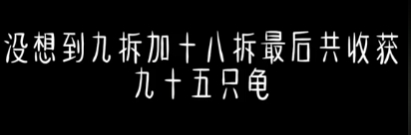 突然爆火！硬控全红婵的“直播拆乌龟”，究竟什么来头？-图5