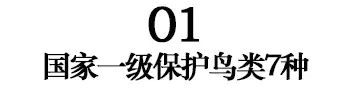 国家一级！阜阳7个！每一个都是阜阳美好的见证-图3