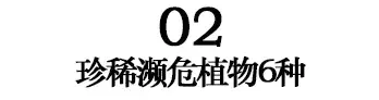 国家一级！阜阳7个！每一个都是阜阳美好的见证-图11