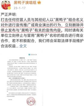 从家喻户晓到彻底乱套，“黑鸭子”姐妹变对手，成员更迭辉煌落幕-图28