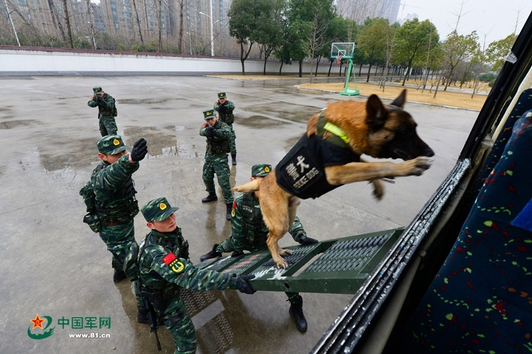 车辆不注销对车主有什么影响