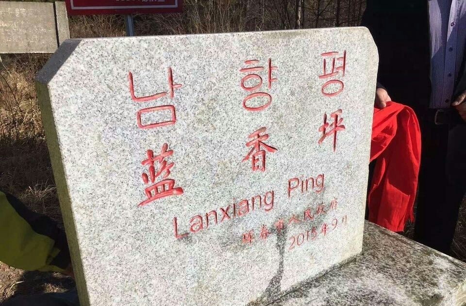 冰糖黄皮果怎么做好吃